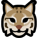 lynx.webp